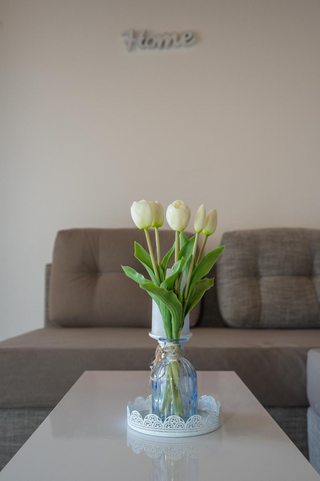 Garden Resort - Apartments Maslina Potocnica Ngoại thất bức ảnh